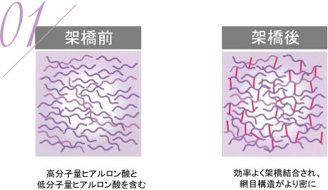 高い弾力と凝集性で、理想のラインをしっかりキープ